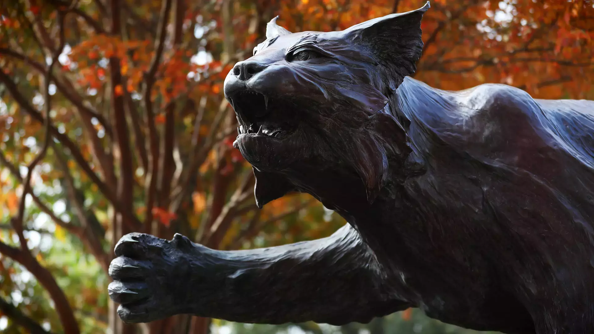 WildcatStatue
