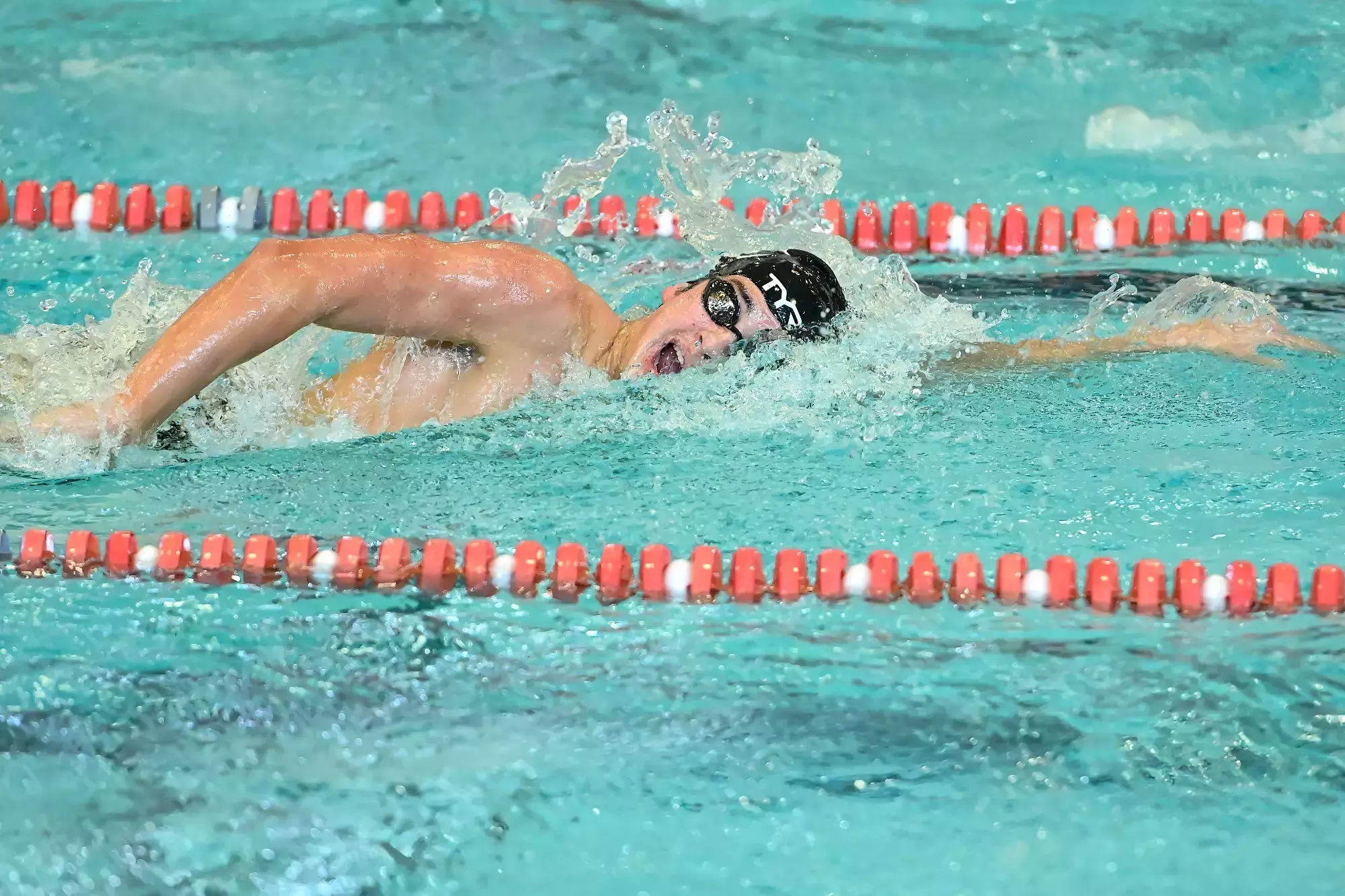 Davidson takes on VMI &amp; UNC Asheville in non-conference swimming and diving action at the Charles A. Cannon Pool on Saturday, October 26, 2024 in Davidson, North Carolina. Credit - Tim Cowie/DavidsonPhotos.com