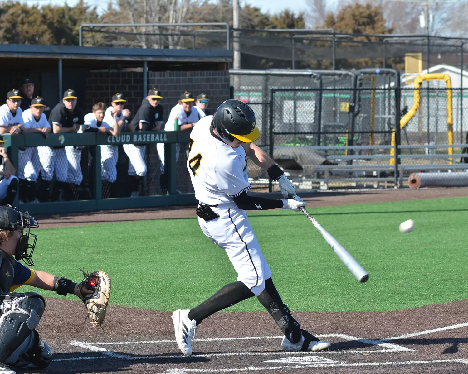Photo of Austin Coyle
