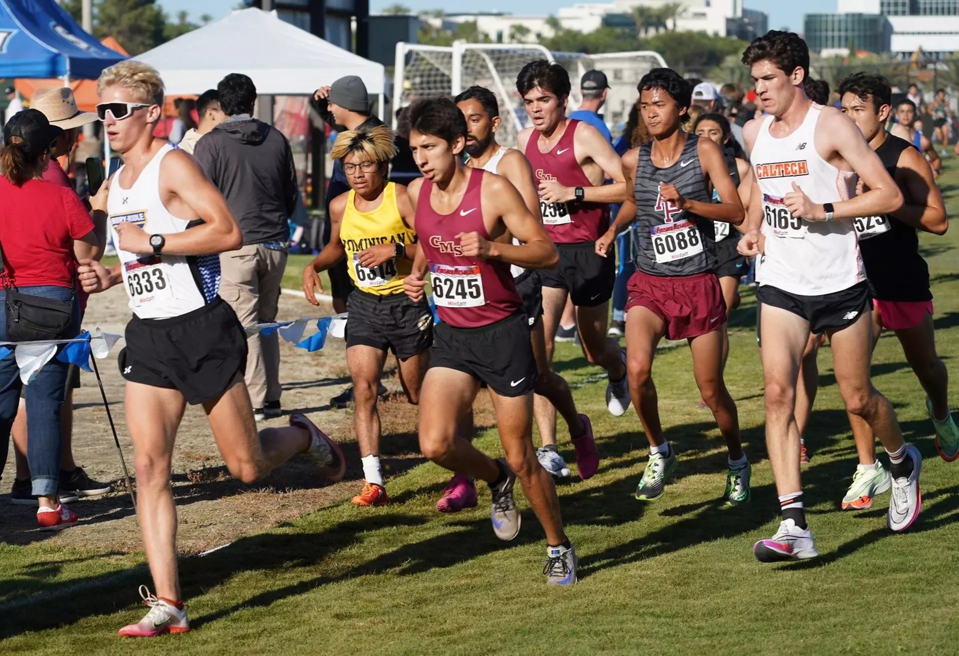 Men's Cross Country runners