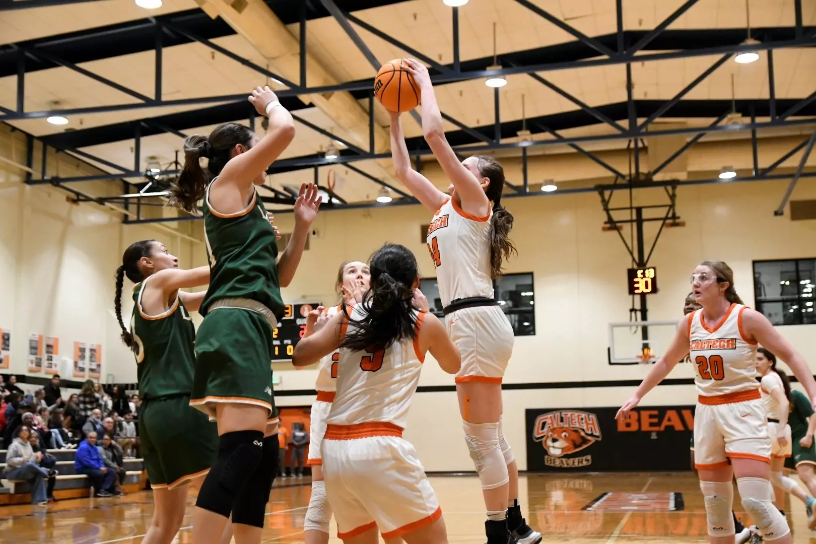 Kathryn Edwards jumps for a rebound