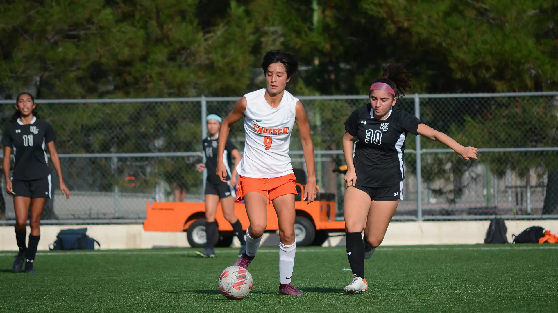 WSOC Louise Marie Choi-Schattle 2