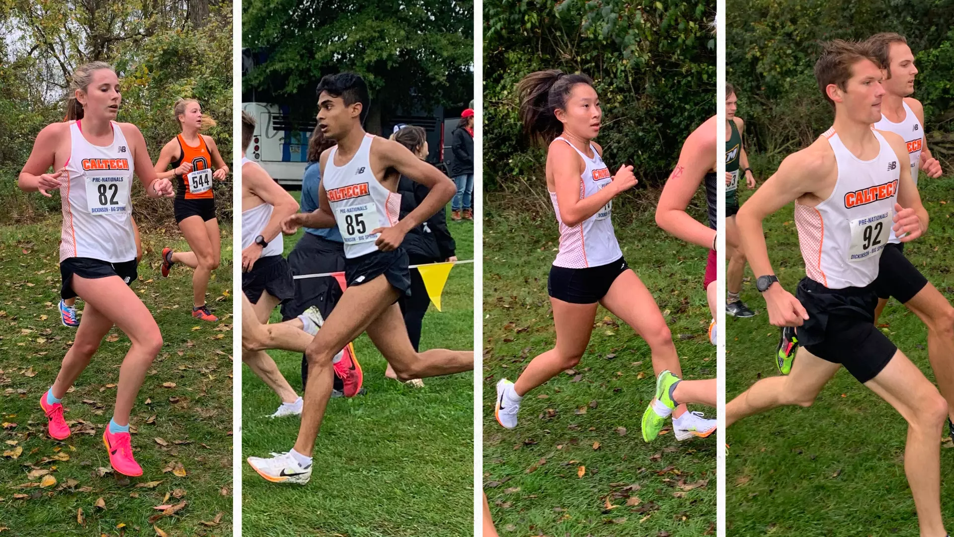 XC 2023 PreNats