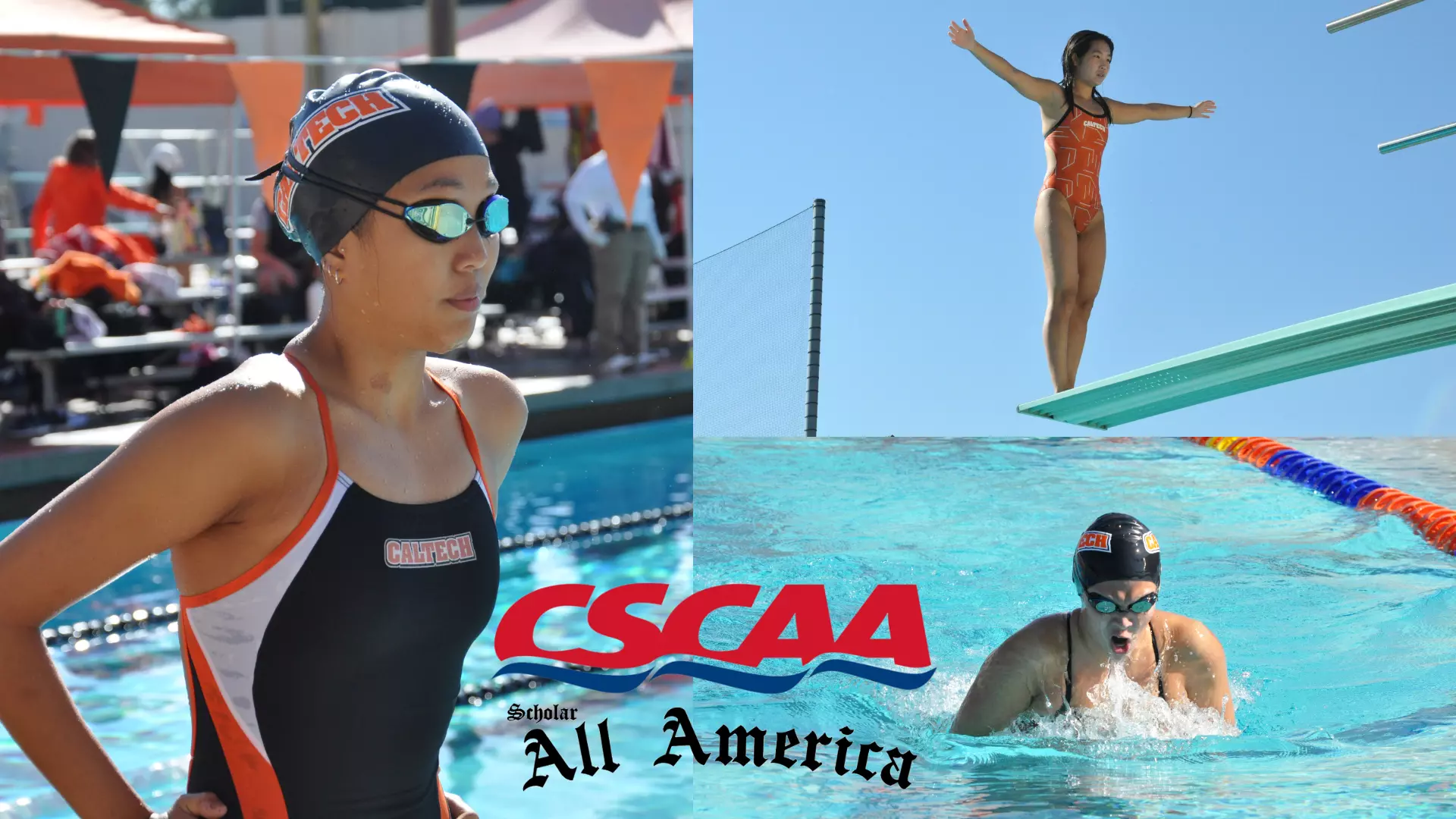 WSD Scholar All-America Spring 2023 Graphic