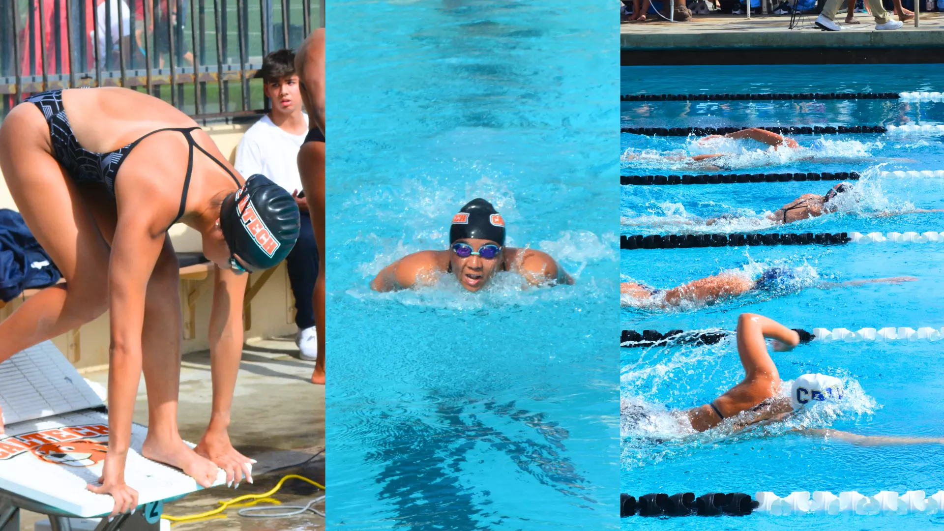 Collage of Caltech women's swim & dive athletes competing at a 2024 meet