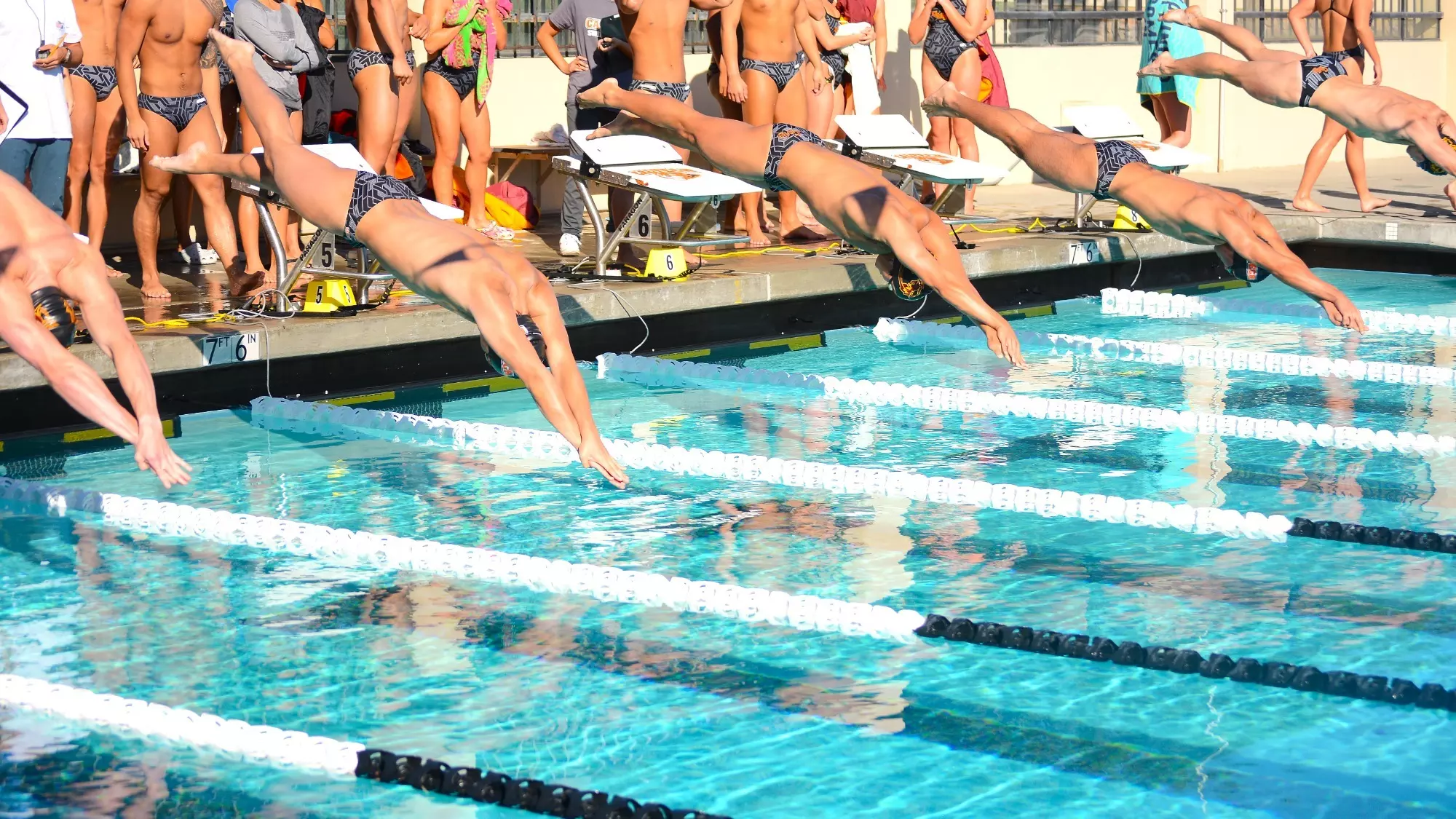 MS&D Action Shot vs. CMS