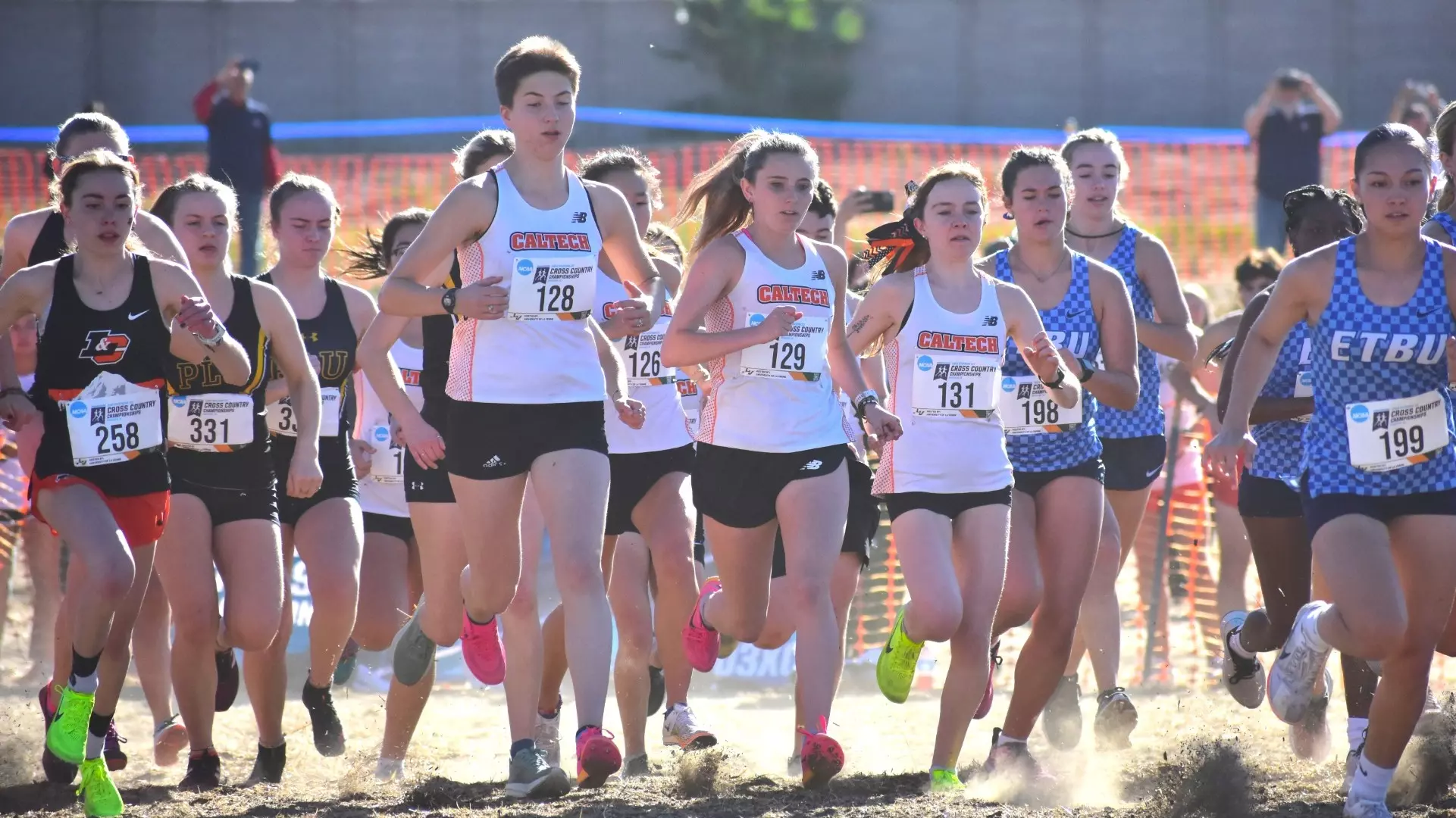 The women's cross country team running just after the start of the West Region championships