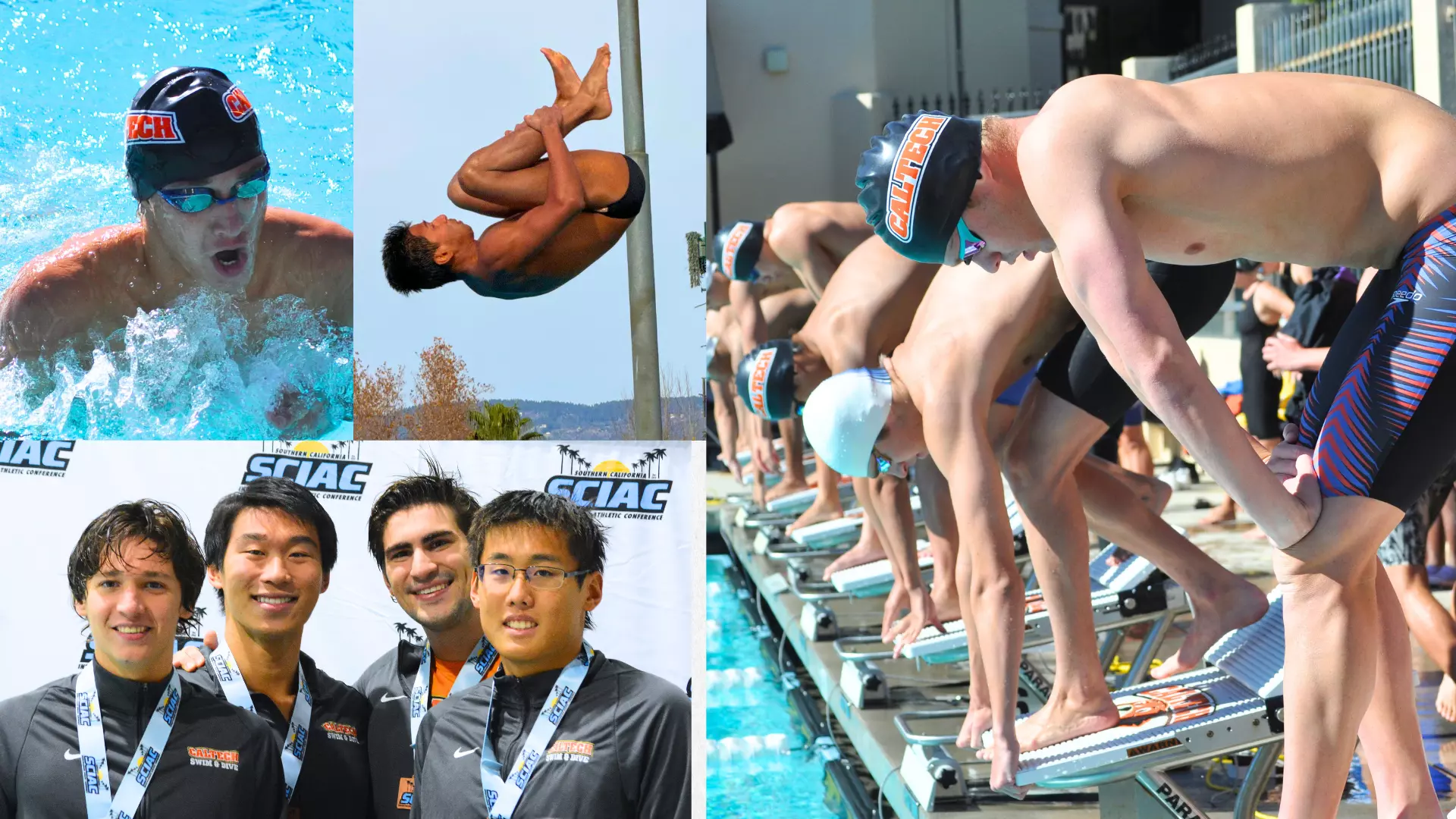  Collection of photos, including Caltech athletes swimming, diving, posing for the camera at the podium and preparing for a swim race on the blocks.