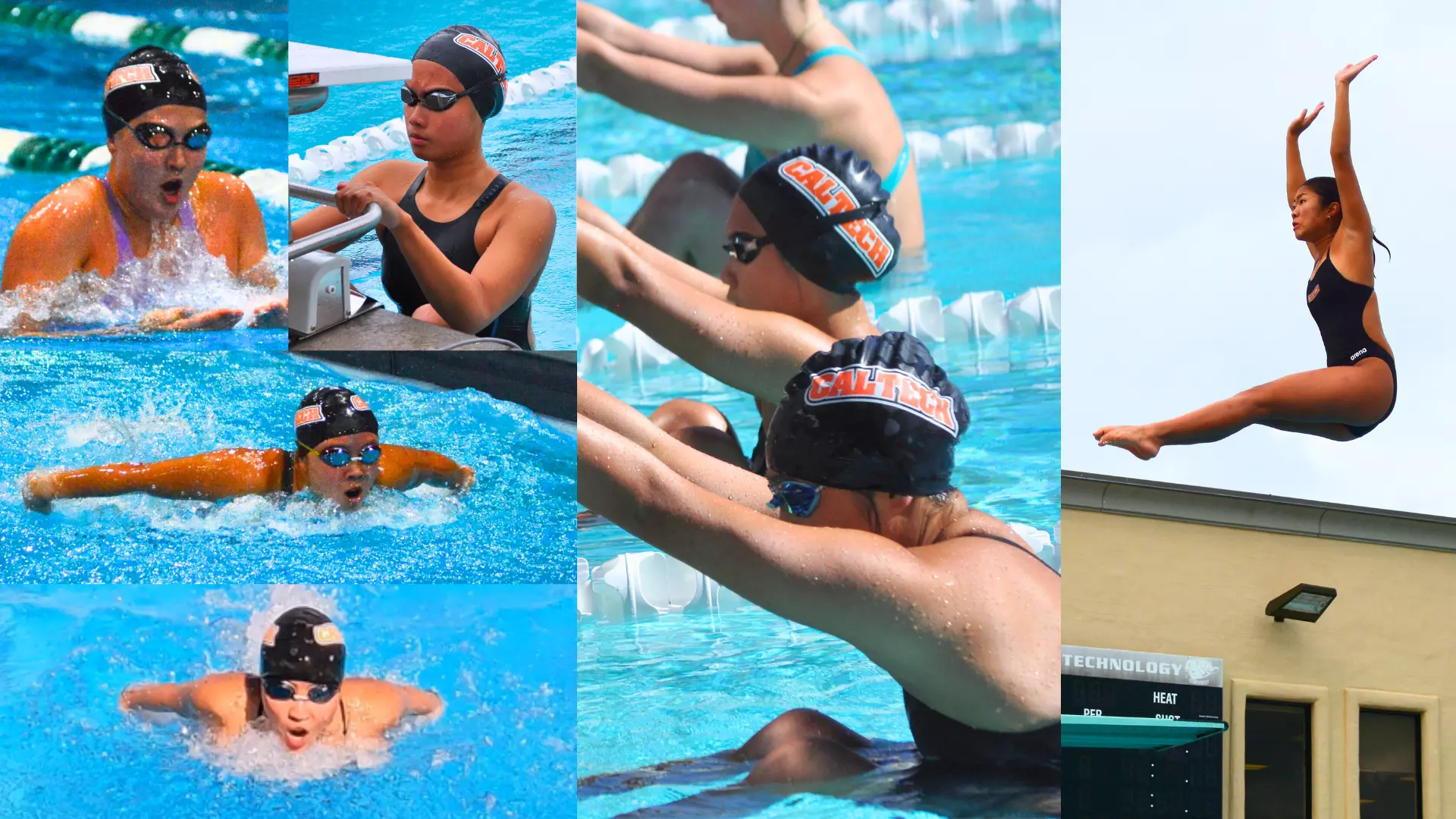  Collection of photos, including Caltech athletes swimming, diving, preparing for a swim race on the blocks