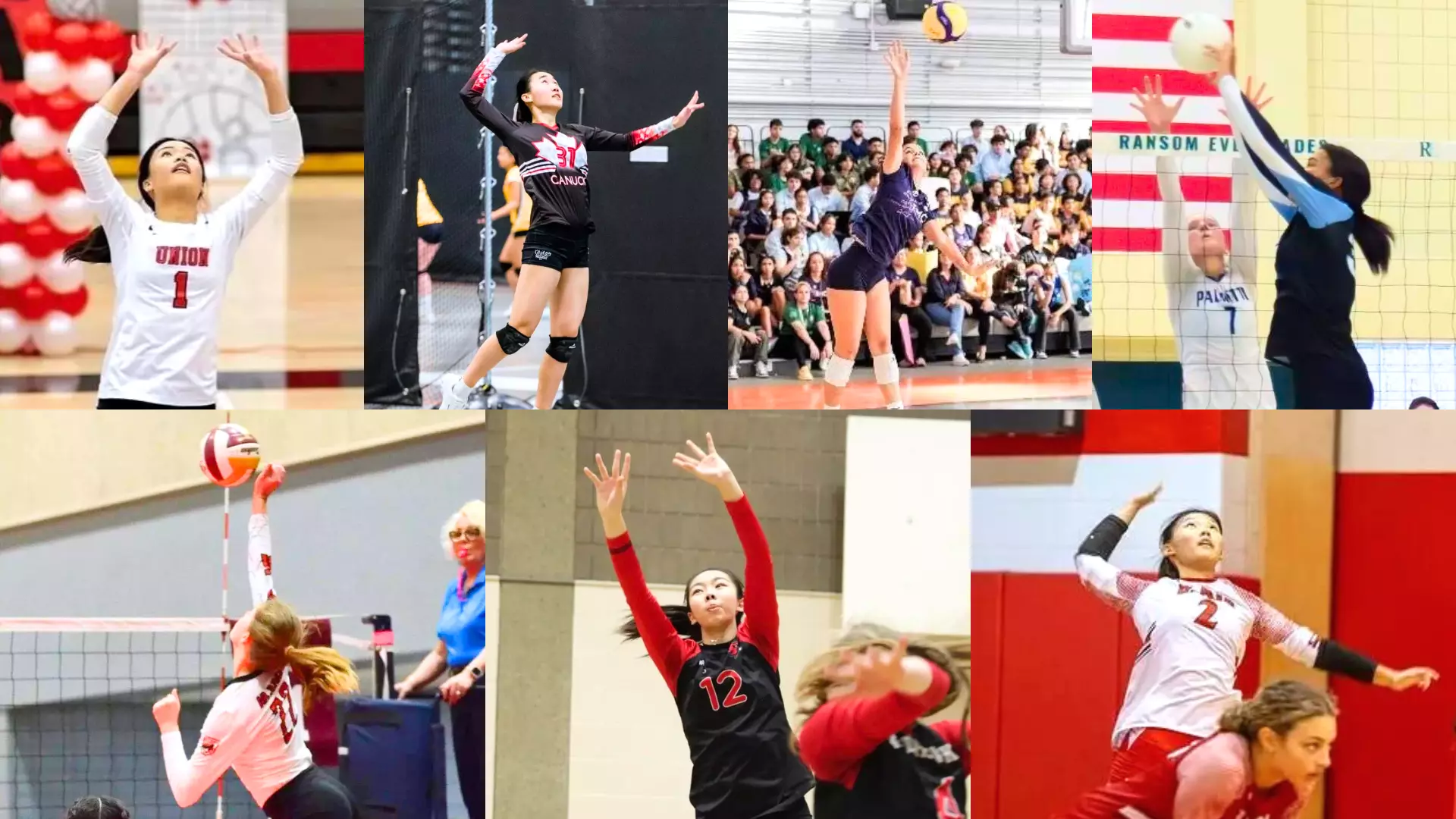 Collage of the seven incoming Caltech women's volleyball players
