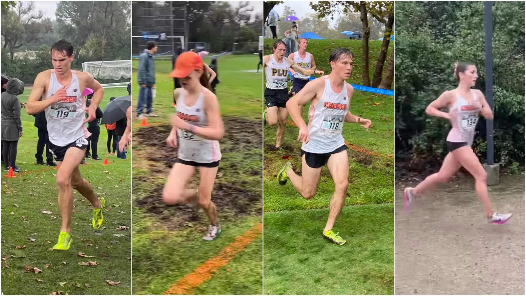 collage of Caltech Cross Country runners at the NCAA West Regional Meet