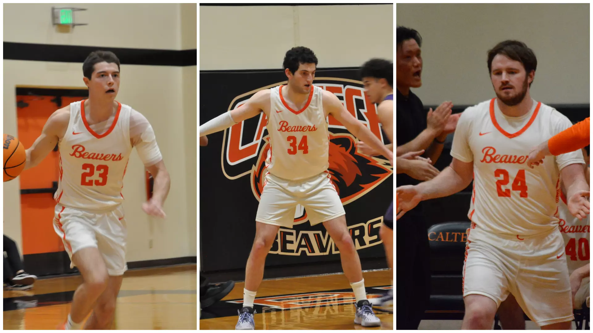 Collage, pictured left to right: Riley Wood, Evan Portnoi, James Downs