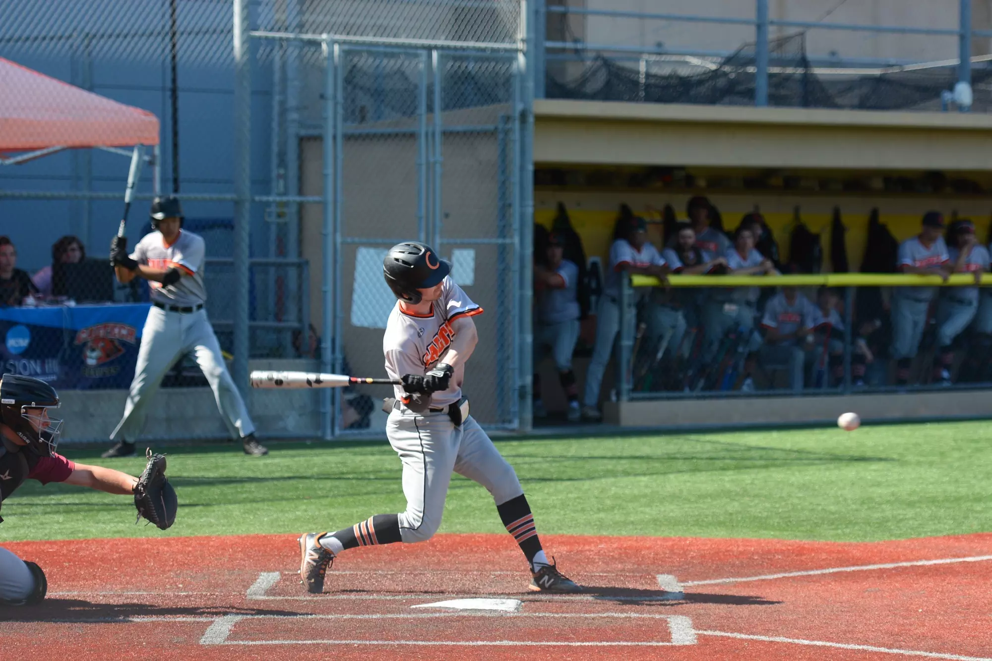 Jack Fishel batting 2025