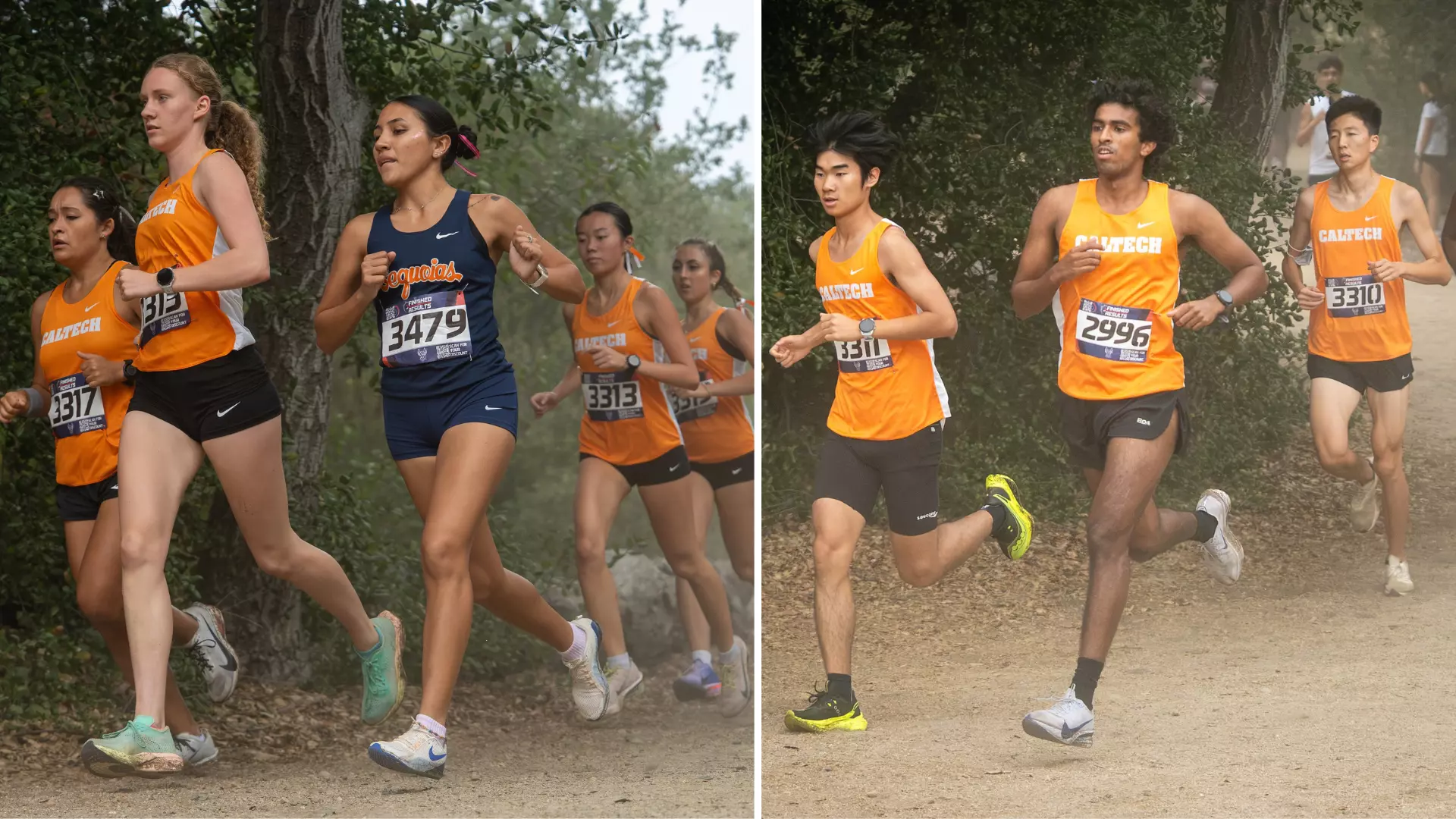collage of Caltech Cross Country runners
