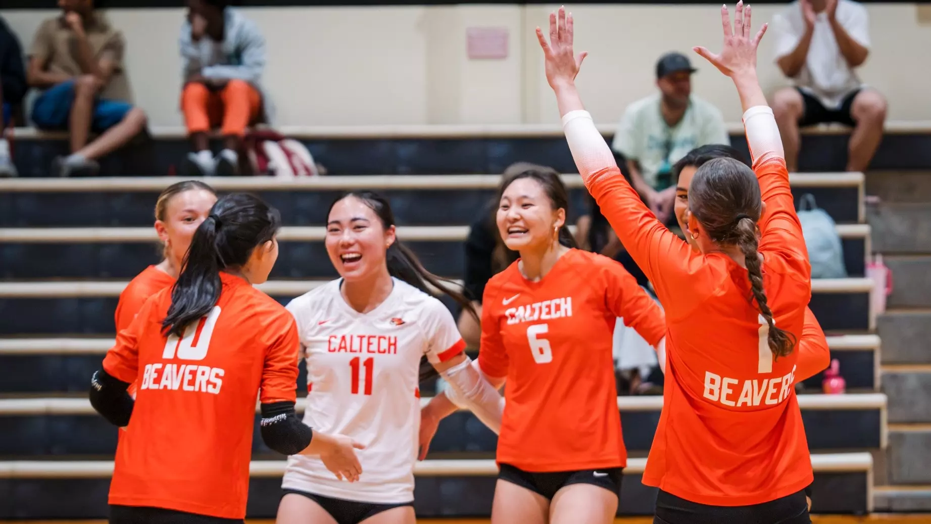 Volleyball players celebrating and exchanging high-fives