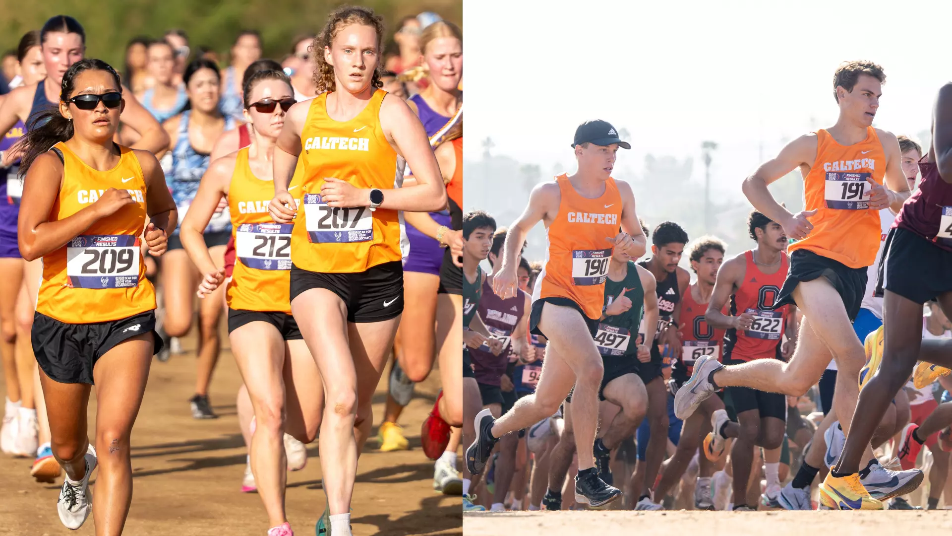 Collage of cross country runners at the UC Riverside Invitational