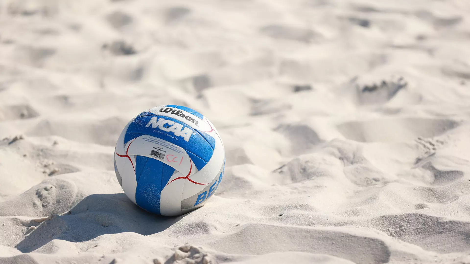 Beach Volleyball