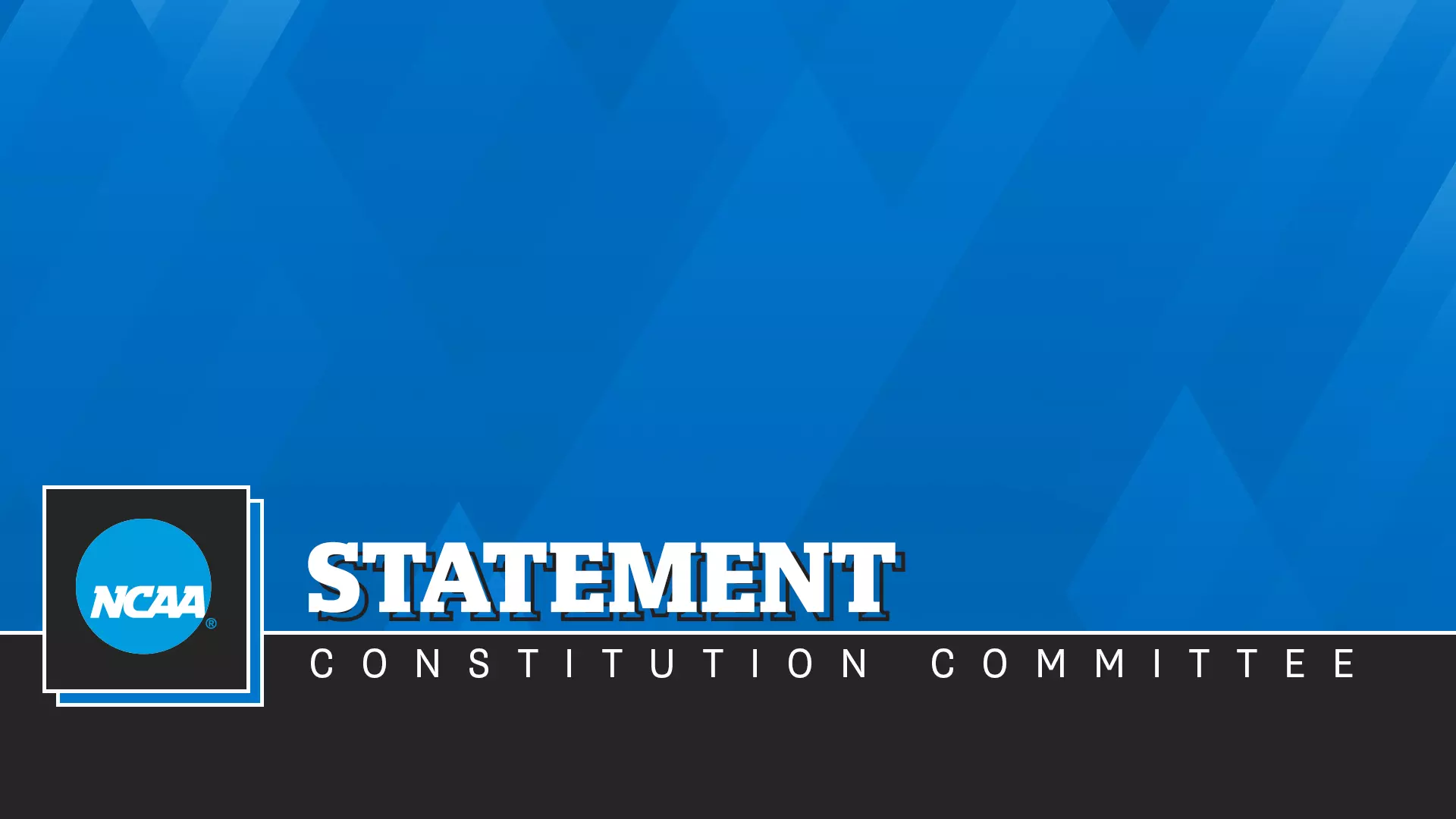Constitution Committee Statement
