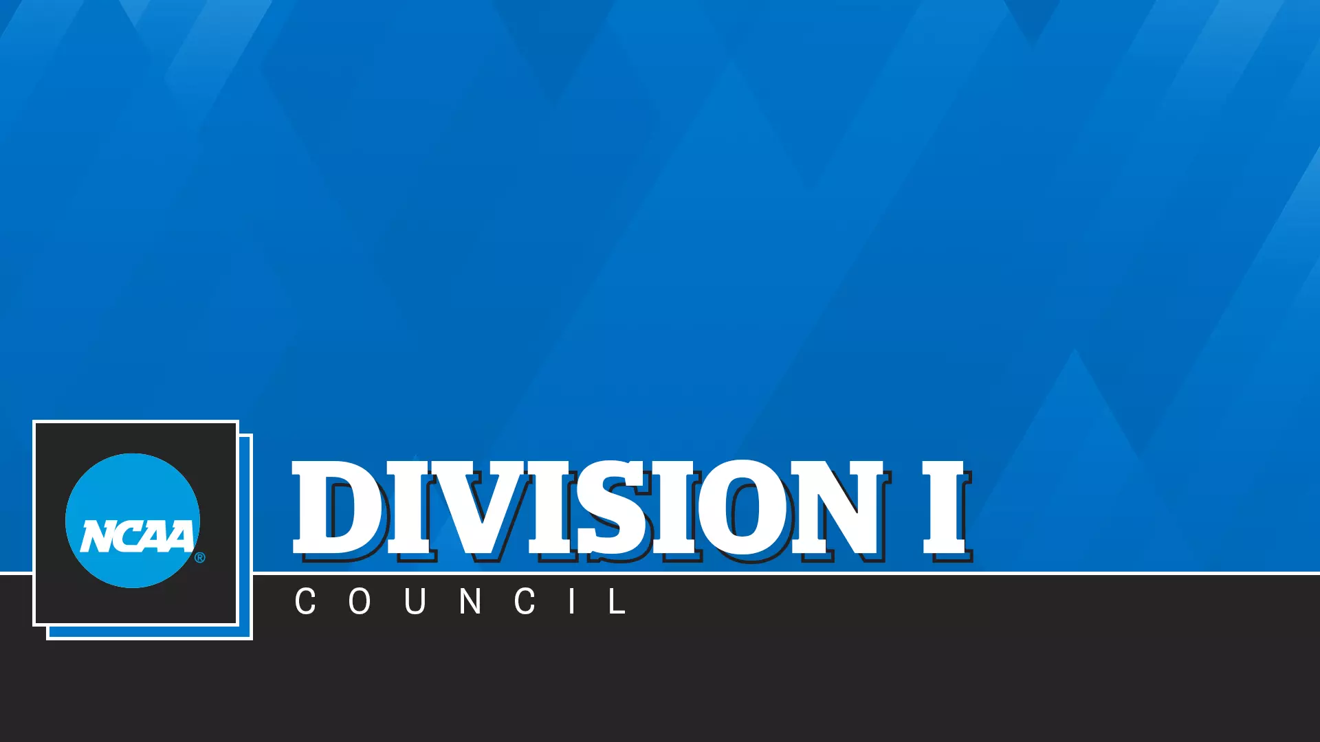 Division I Council
