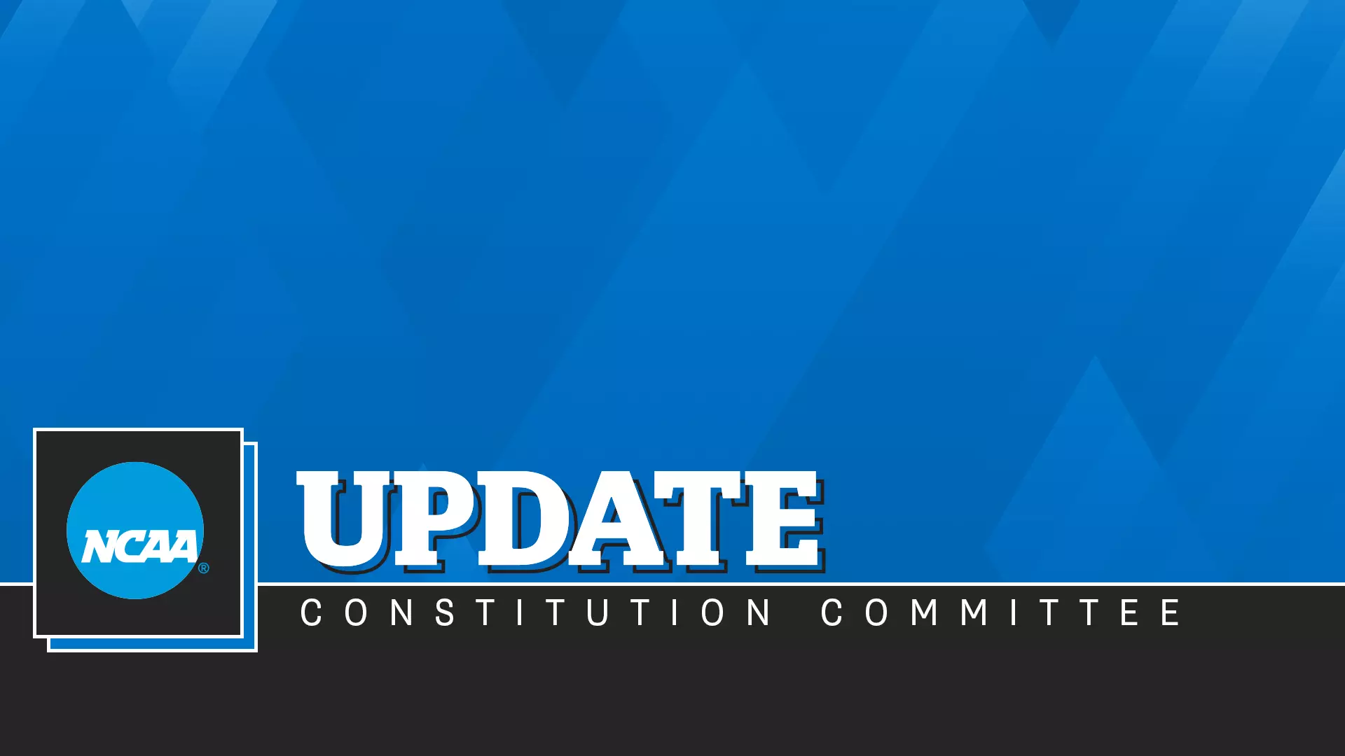 Constitution Committee Update