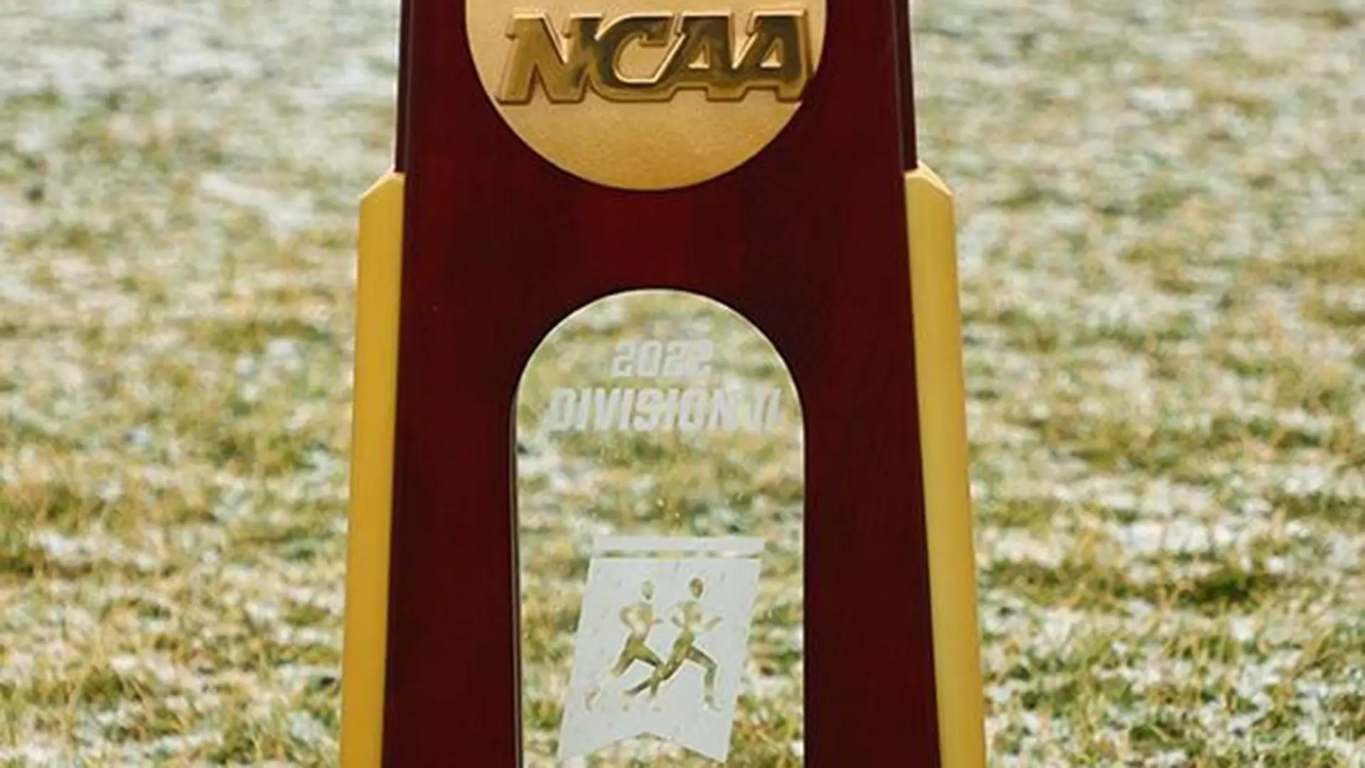D2CC Trophy