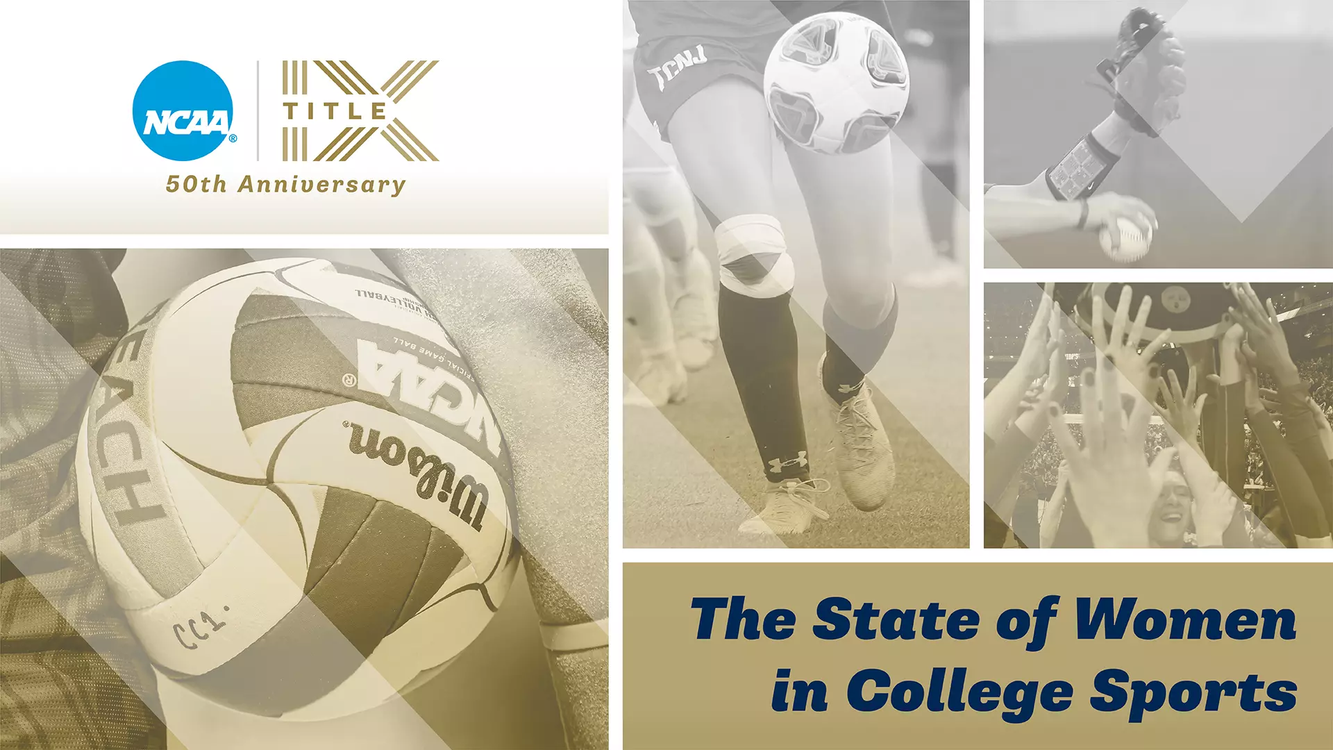 Title IX Report