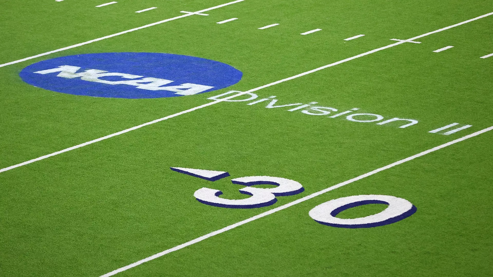 This is a picture of the Division II field logo at the NCAA Division II Football Championship.