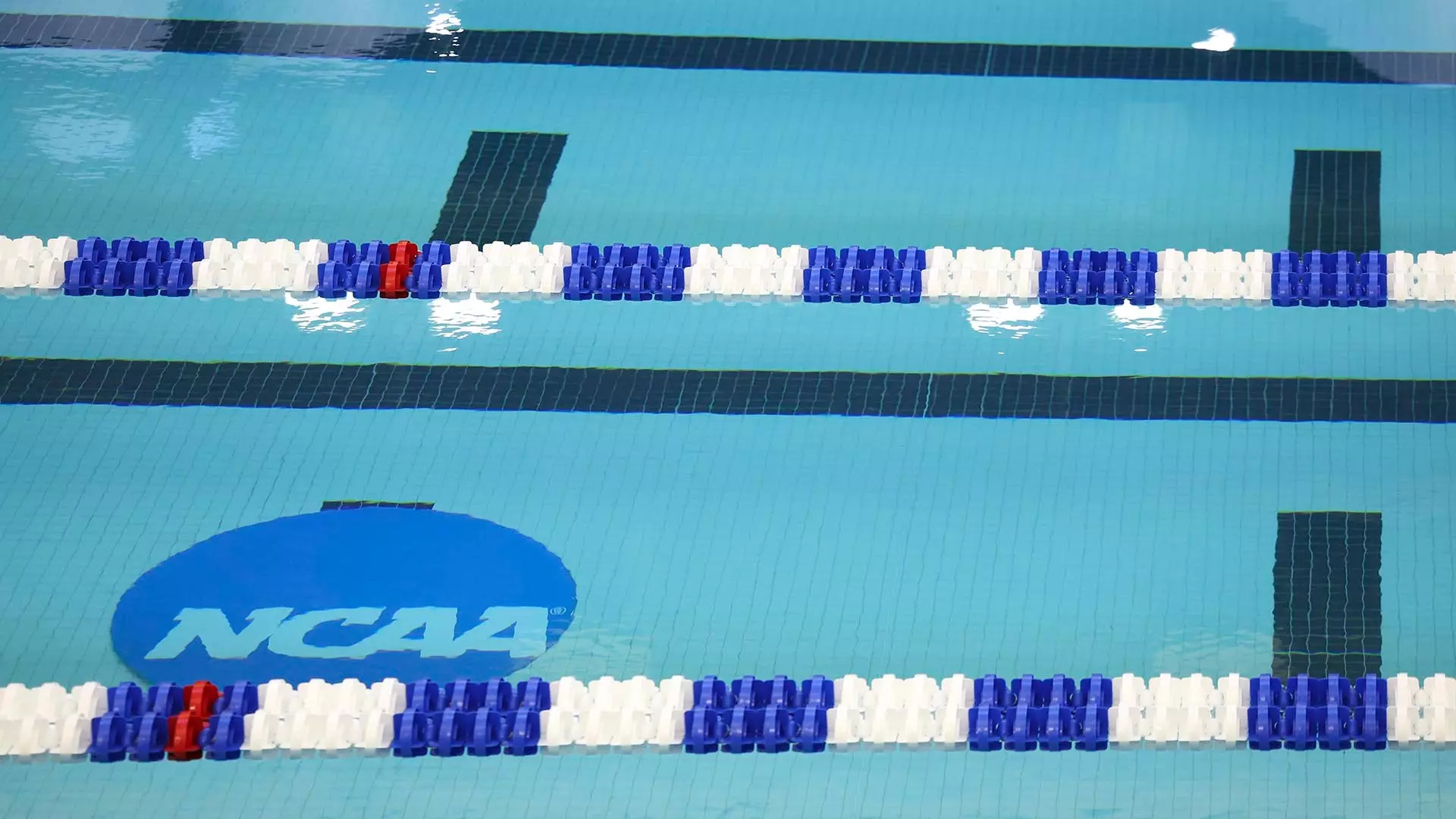 This is a picture of the NCAA blue disk logo underwater at the NCAA Swimming and Diving Championships.