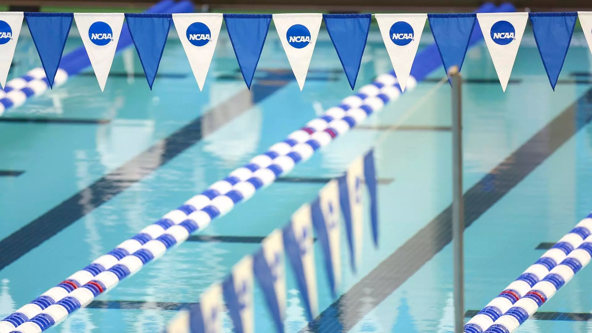 This is a picture of the NCAA backstroke flags over competition lanes at the NCAA Swimming and Diving Championships.