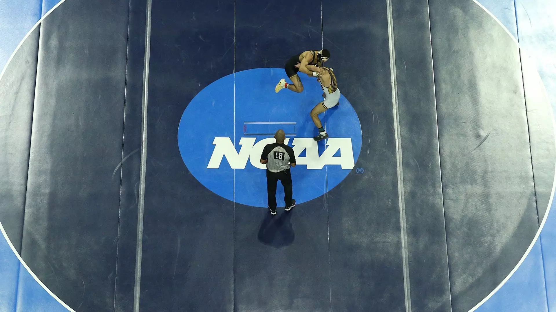 Wrestling Championships view from above