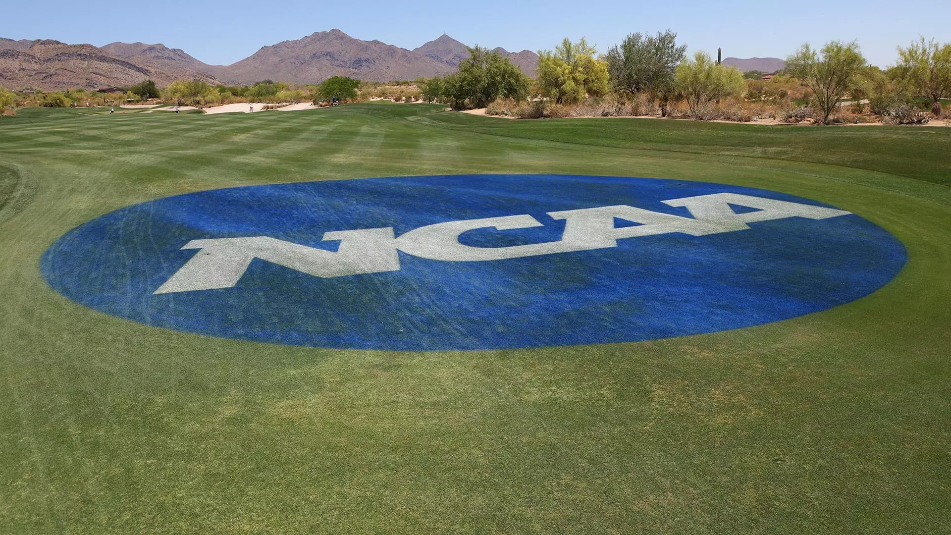 This is a photo of the NCAA blue disk logo on a fairway at the NCAA Golf Championships.