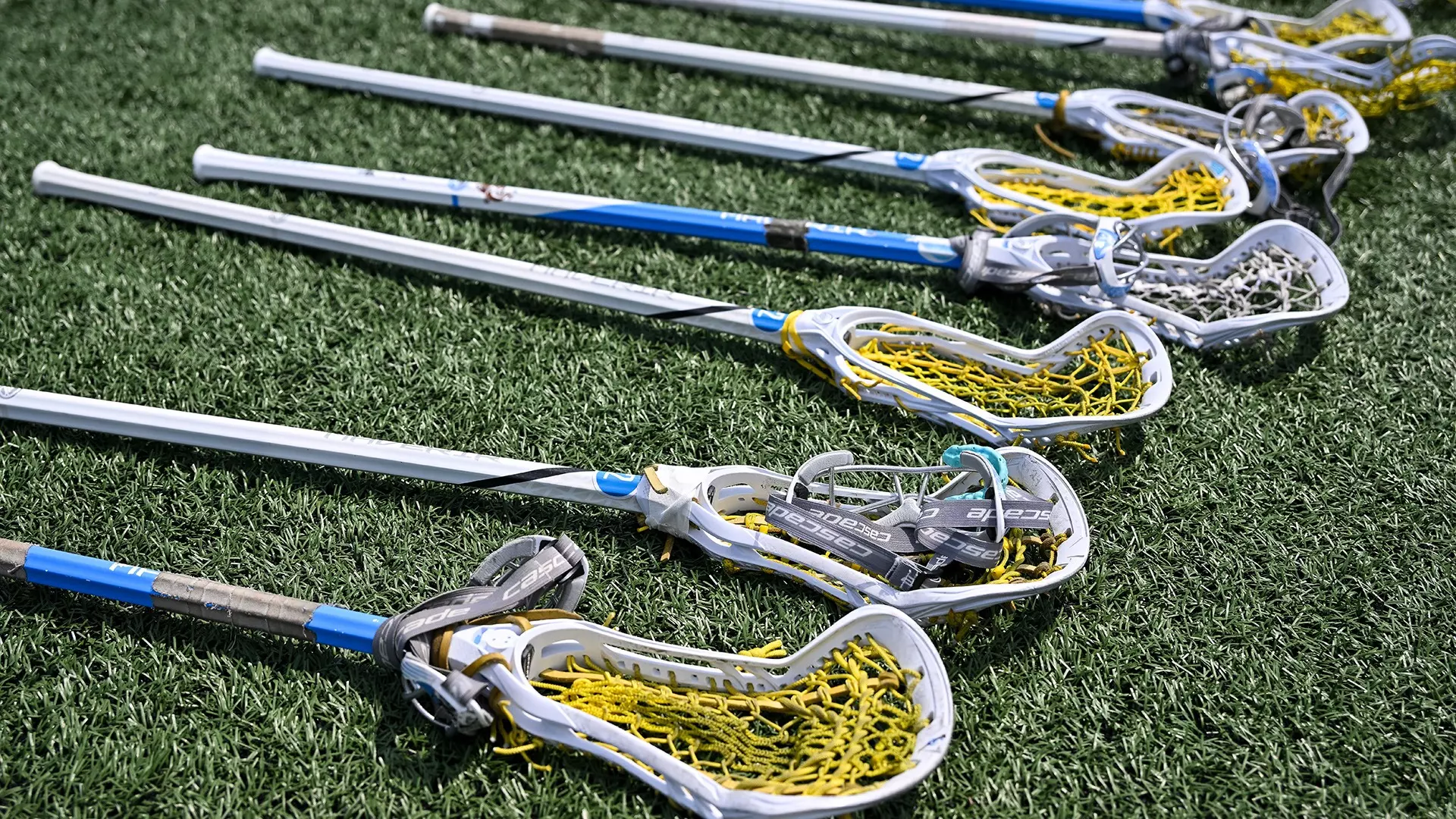 This is a photo of lacrosse sticks on the turf at the NCAA Women's Lacrosse Championship.