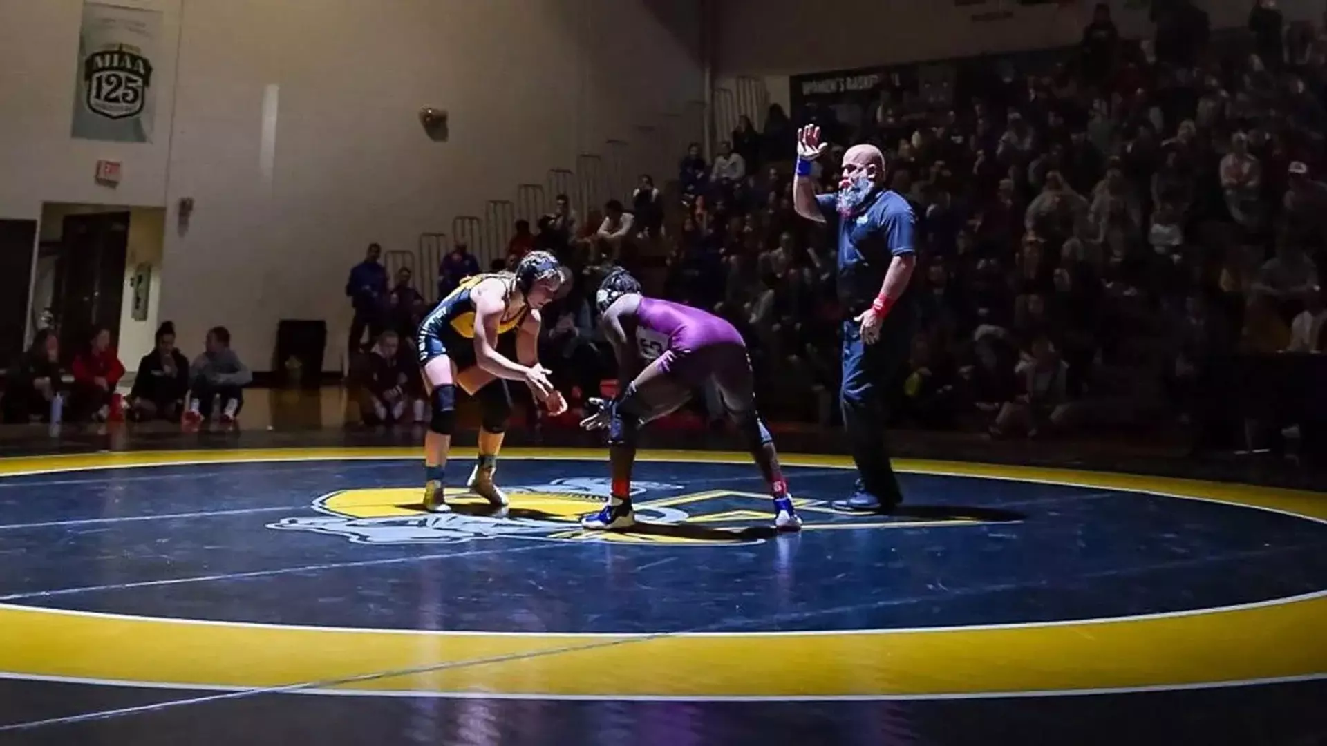 Women's Wrestling Generic