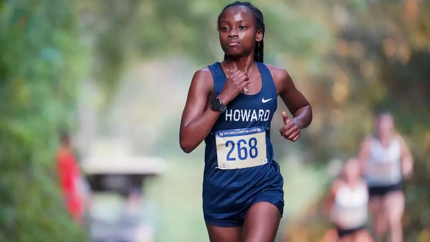 Howard Cross Country Image 1
