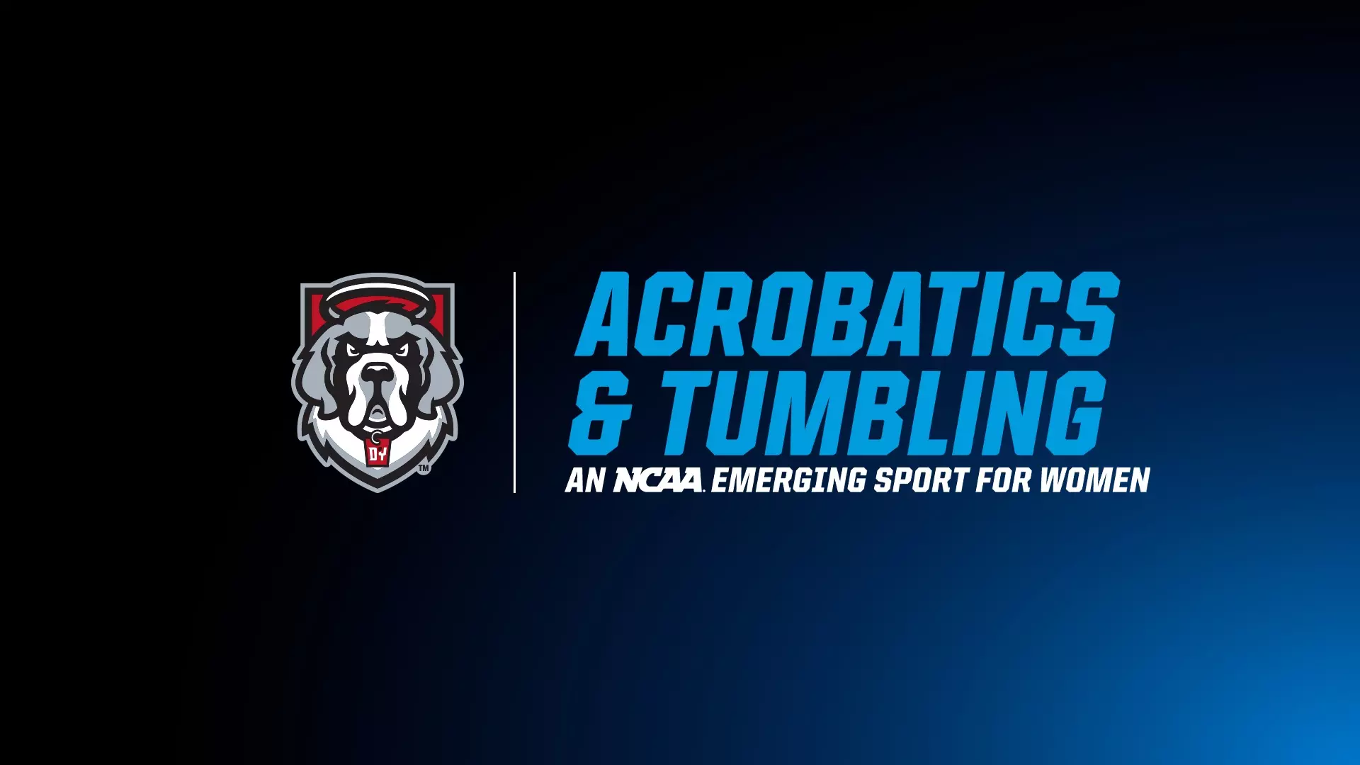 D'Youville Acrobatics and tumbling 