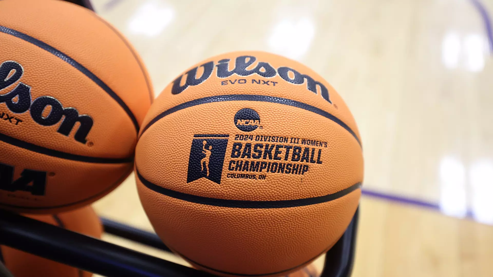 Women's Basketball 2024 Basketballs