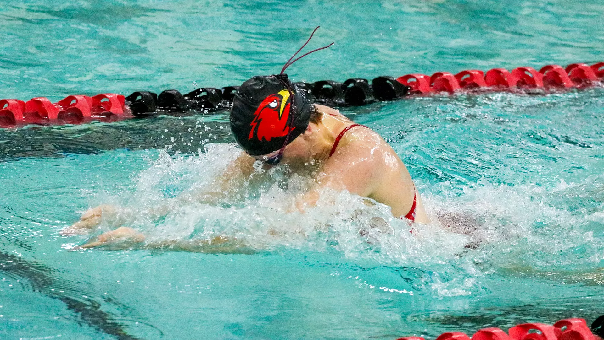 Anna Slominski, a former Illinois Institute of Technology swimmer, left an impact both in and out of the pool. 