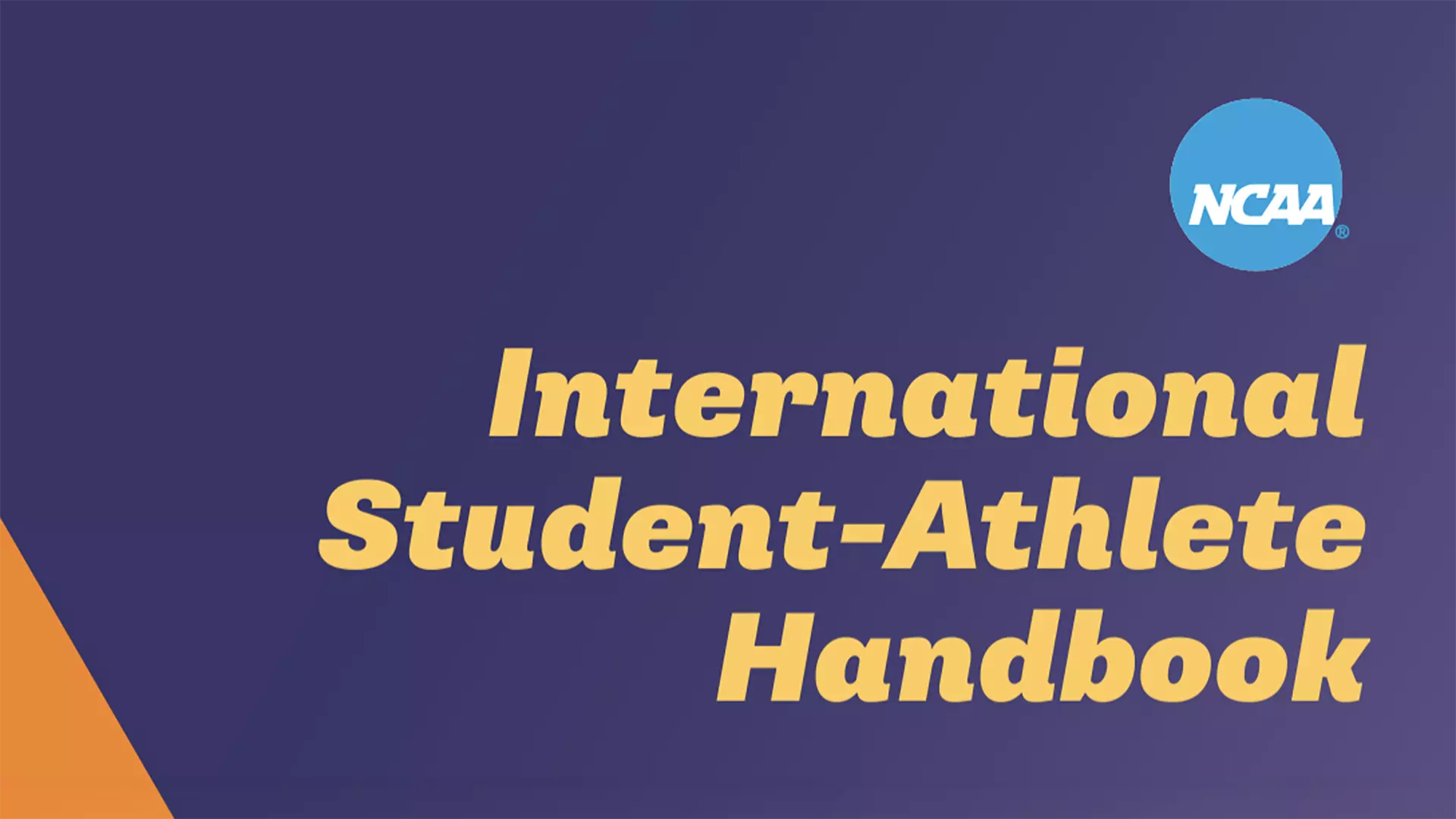 Inclusion - International Handbook - 2024