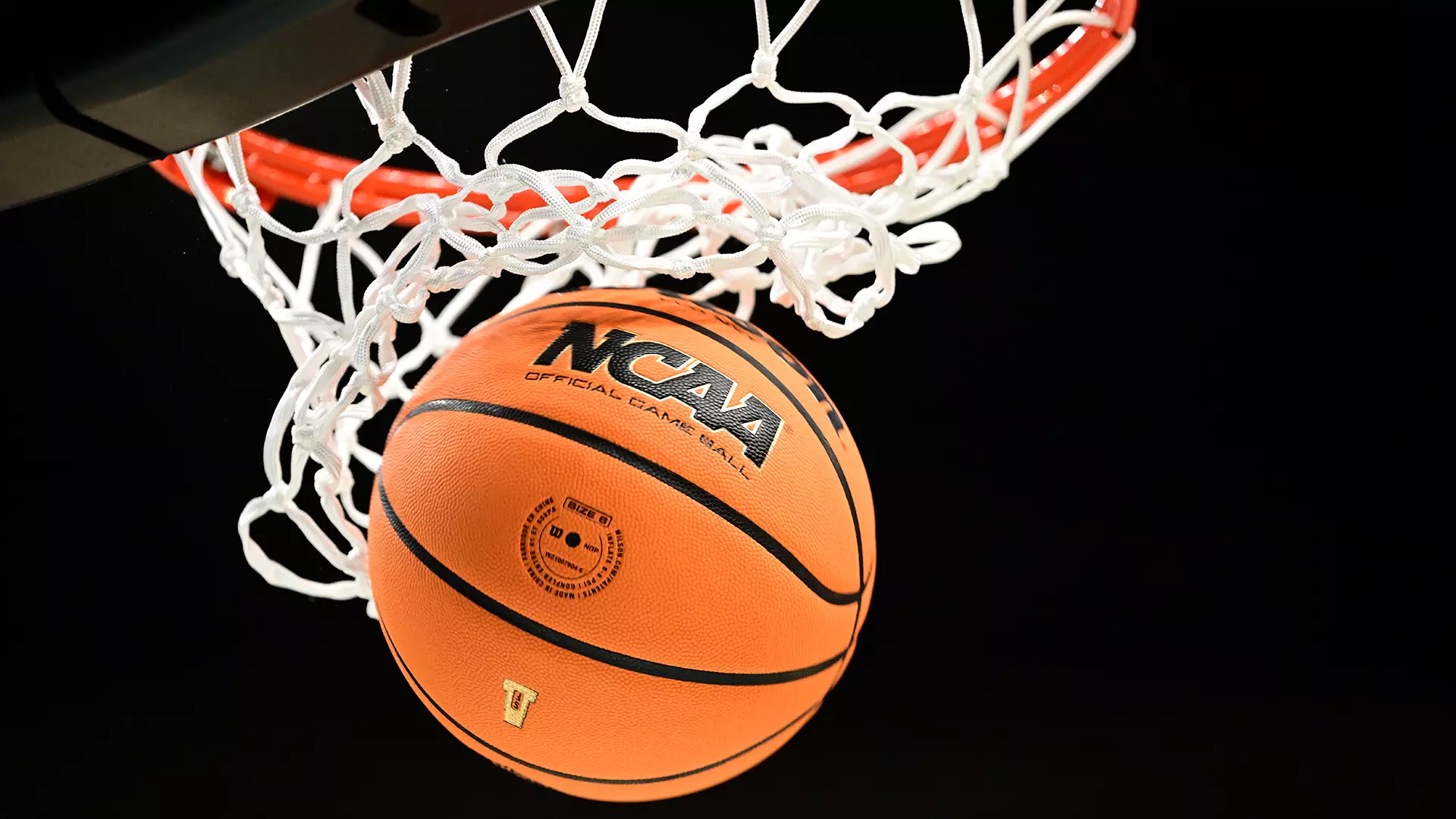 Generic Basketball