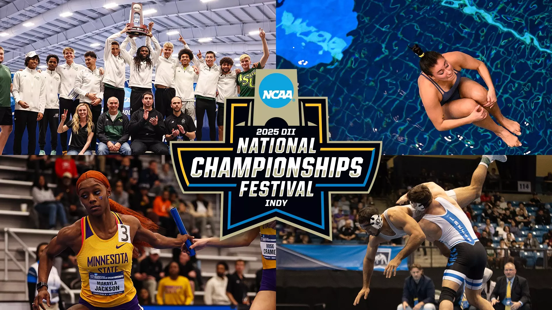 2025 DII Fest By the Numbers