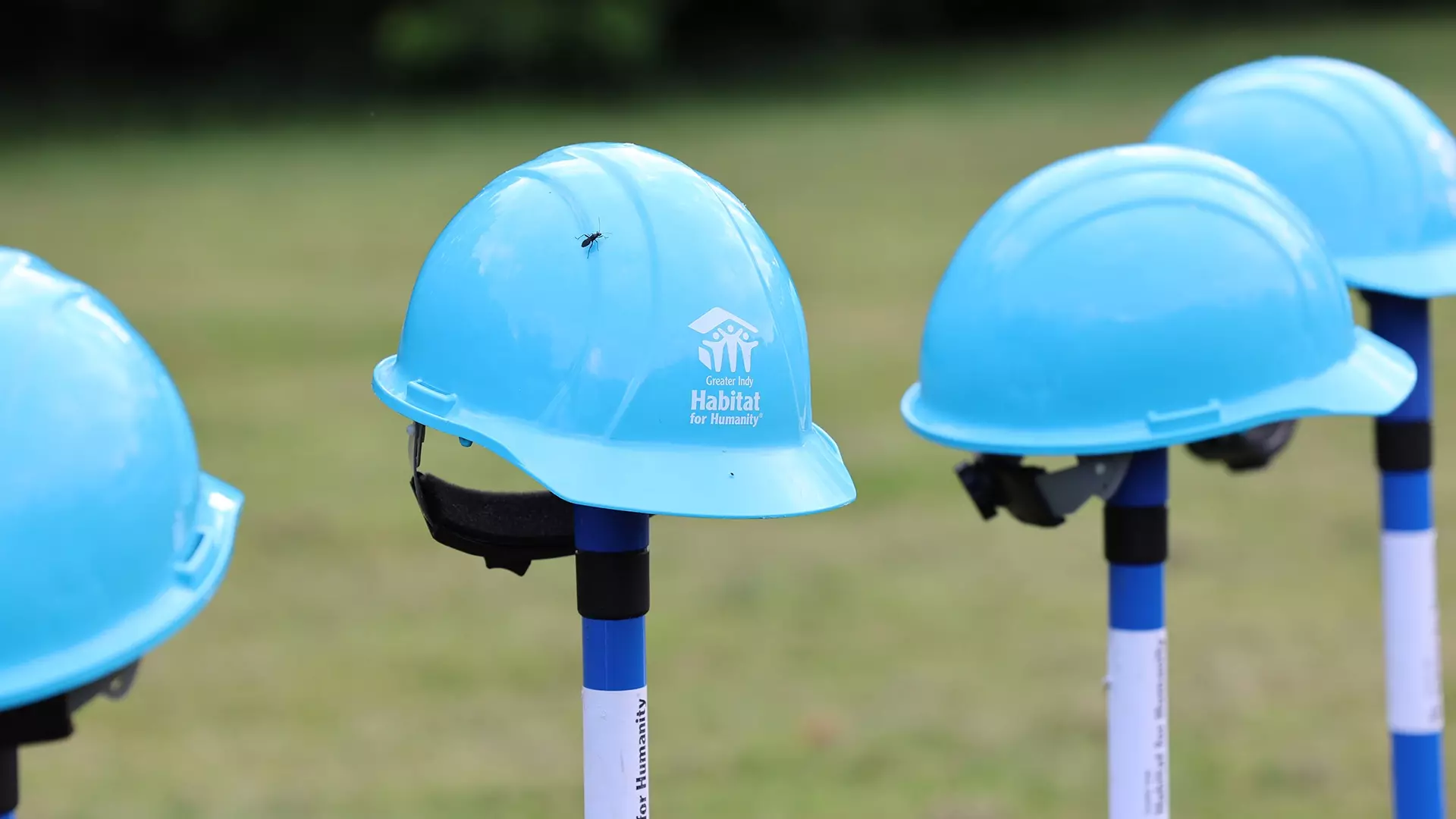 Habitat for Humanity Hard Hats