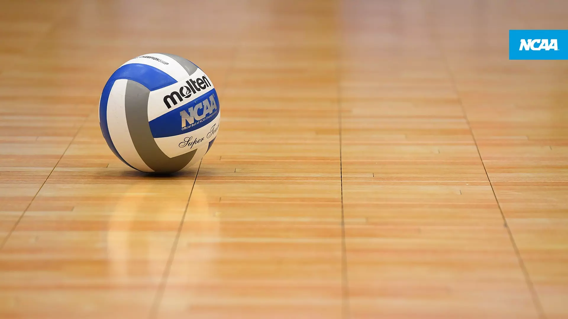 Generic WVB (Women's Volleyball) Ball on Court Image