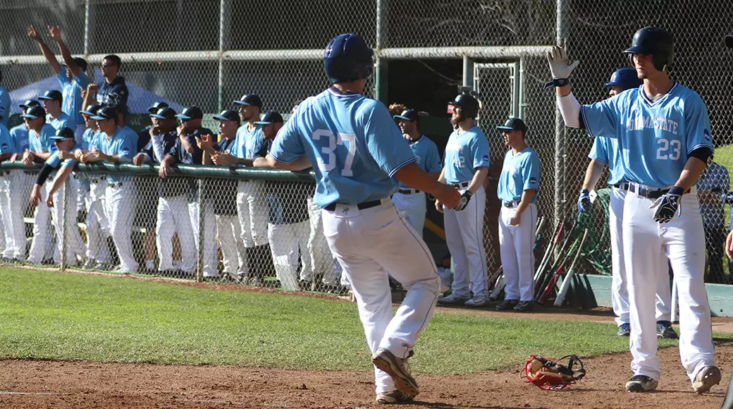 baseball celebration
