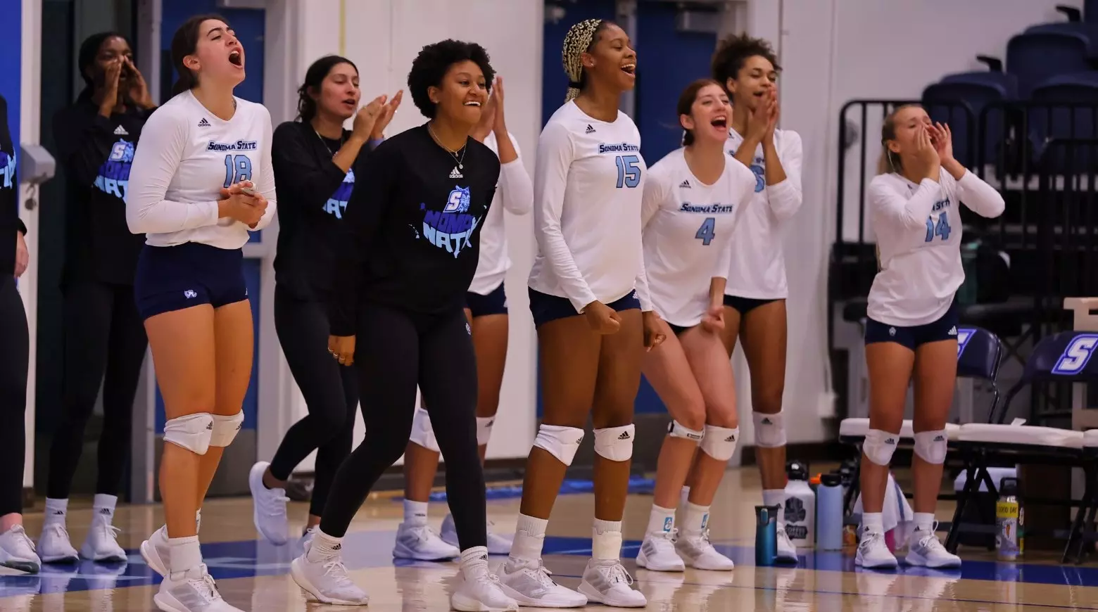 vb team bench