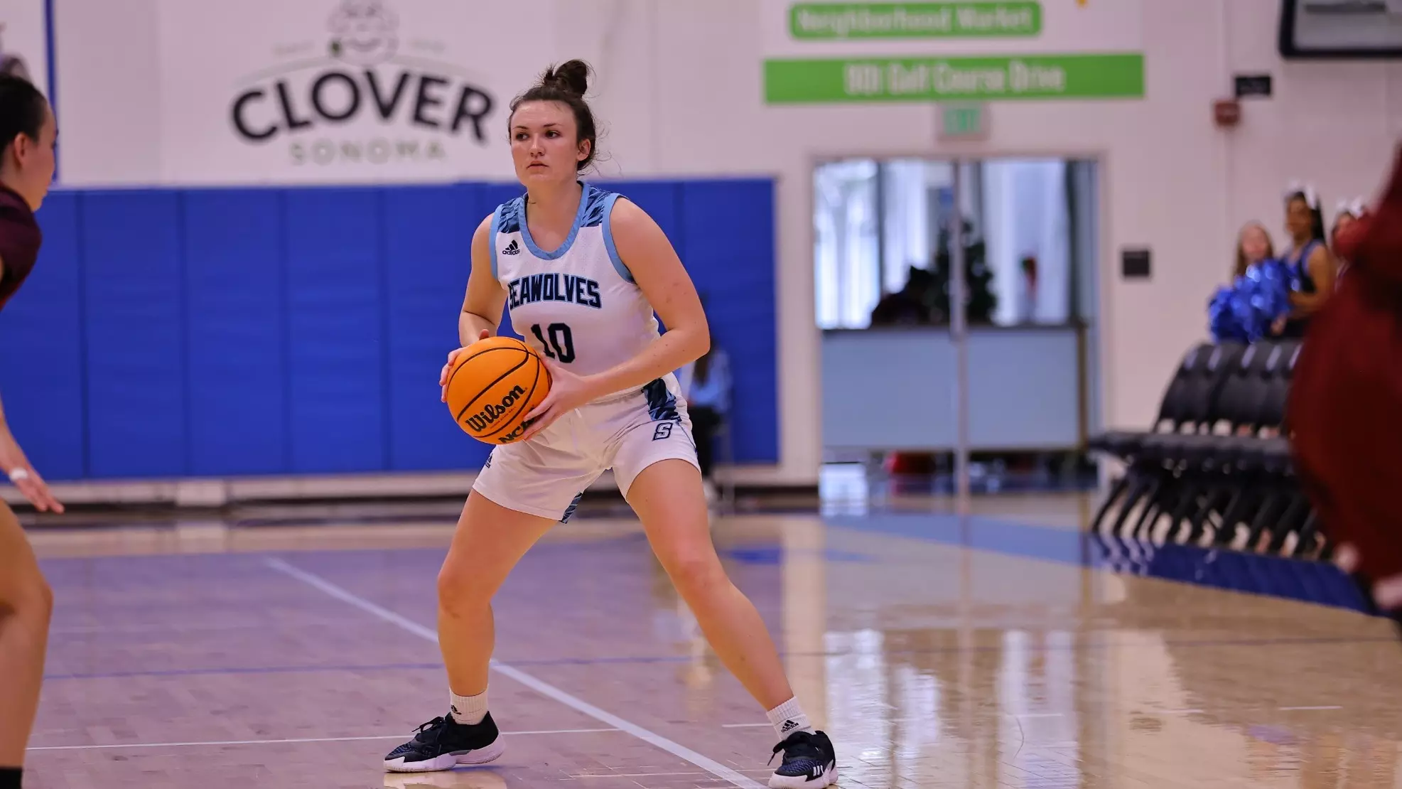 Sonoma state basketball roster online