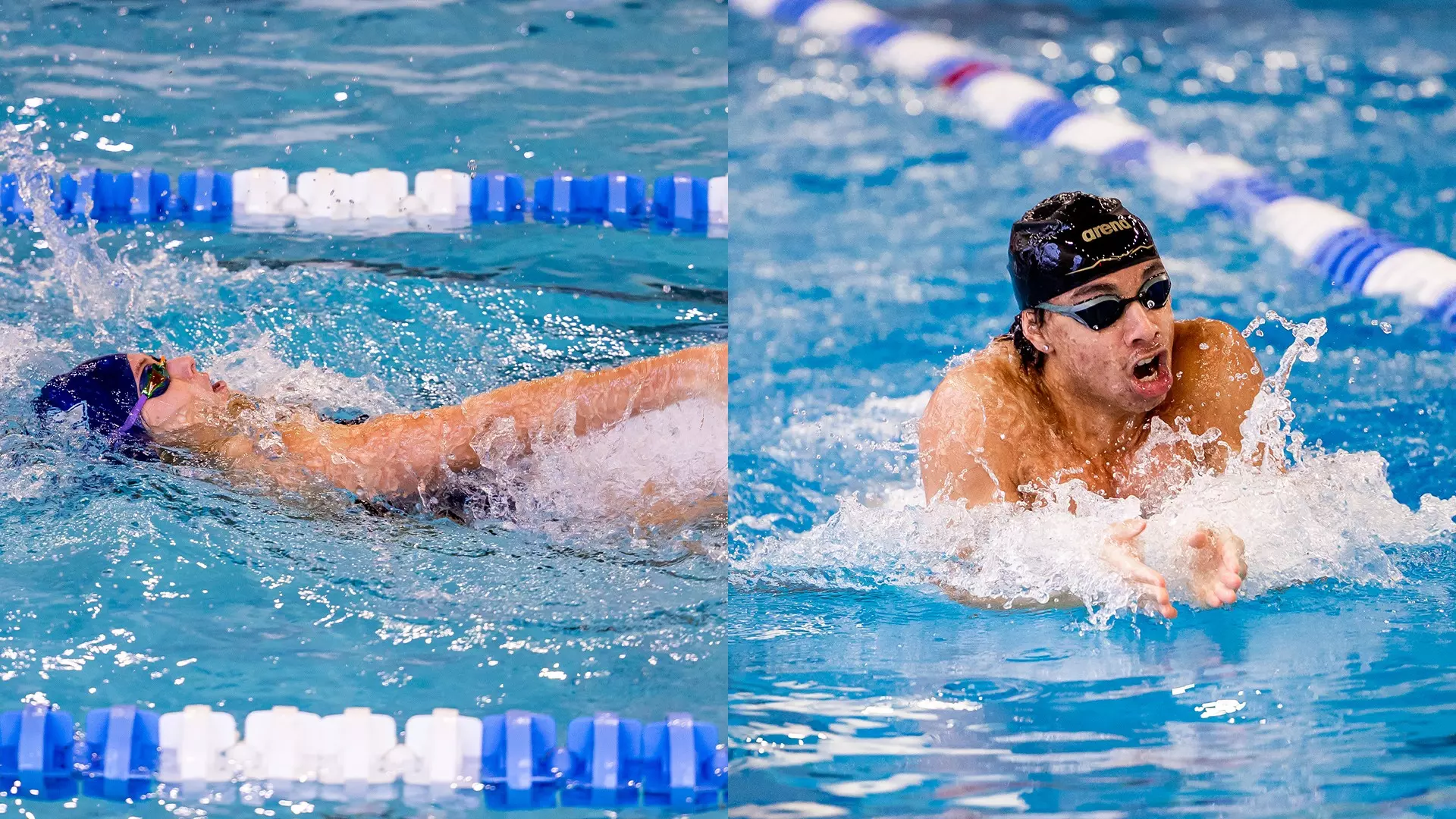 100926 swim dive
