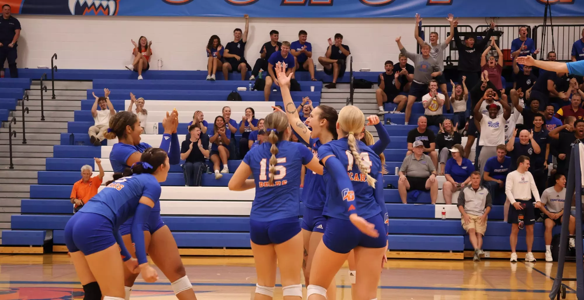 Volleyball