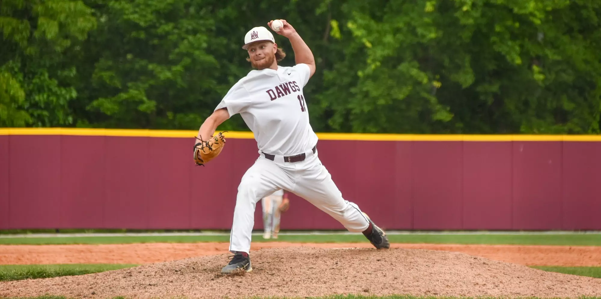 Tristan Curless - 2024 - Baseball - Alabama A&M Athletics