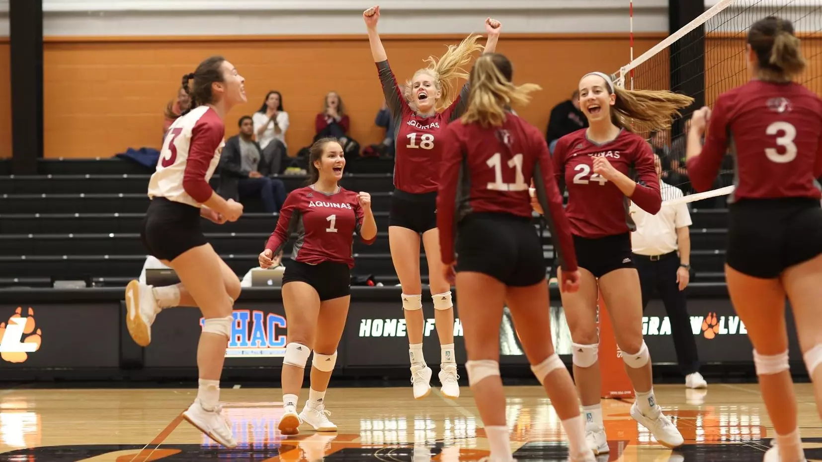 Team WVB Lourdes