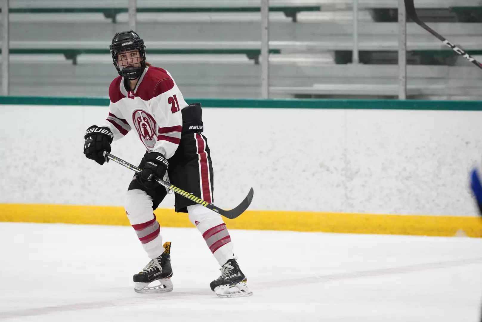 WHockey 11/13